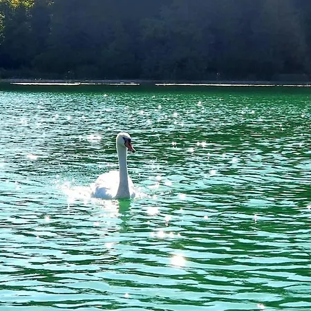 Gemütliche Landhauswohnung * Mondsee