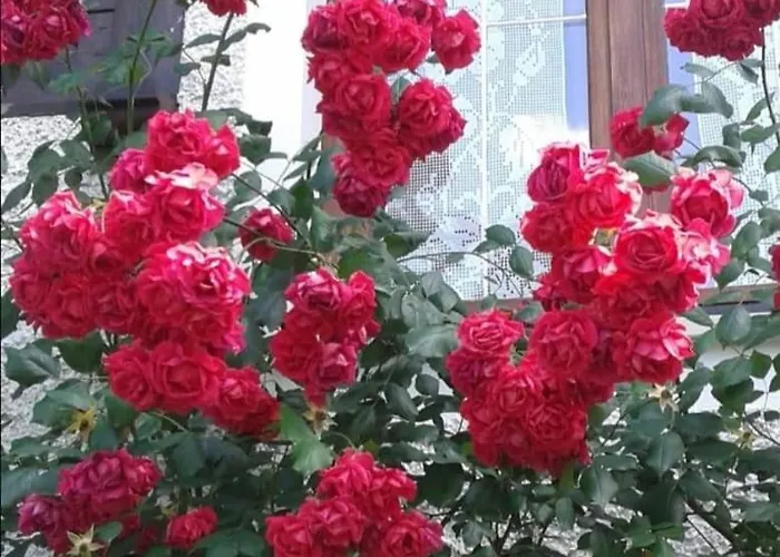 Gemuetliche Landhauswohnung Apartmán Mondsee