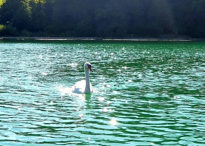 Gemütliche Landhauswohnung * Mondsee